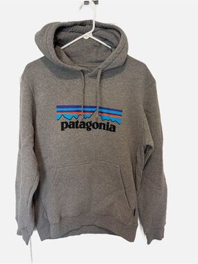 Patagonia Gray Pullover Hoodie with Multicolor Logo